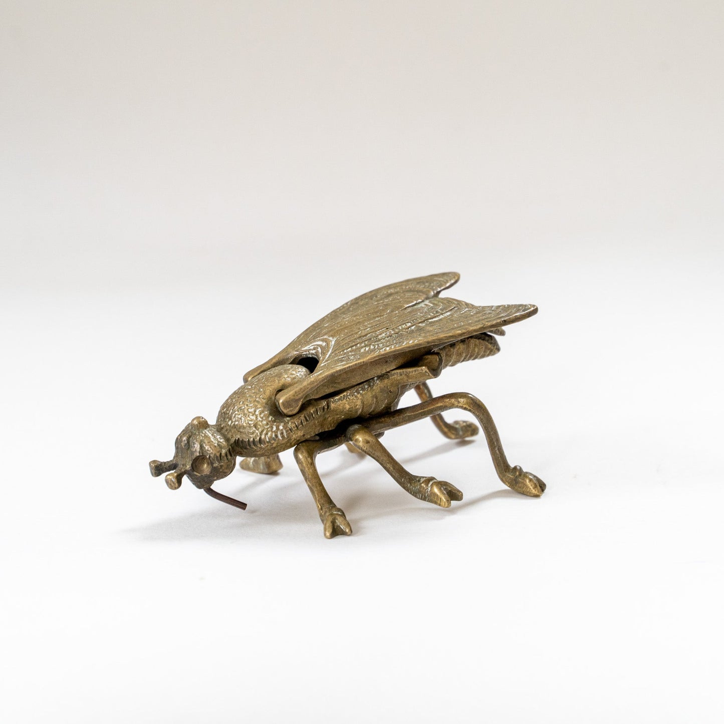 Insect container