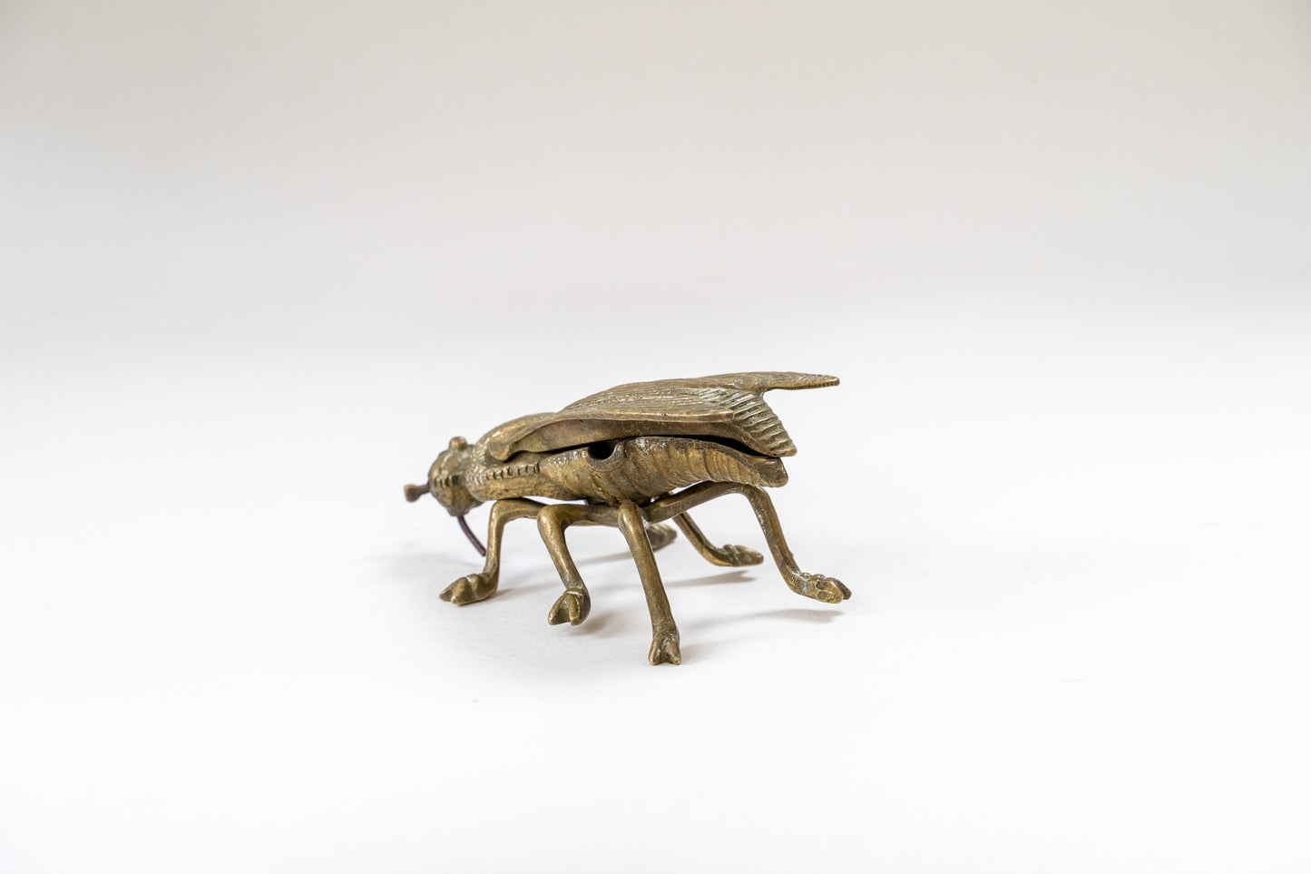 Insect container
