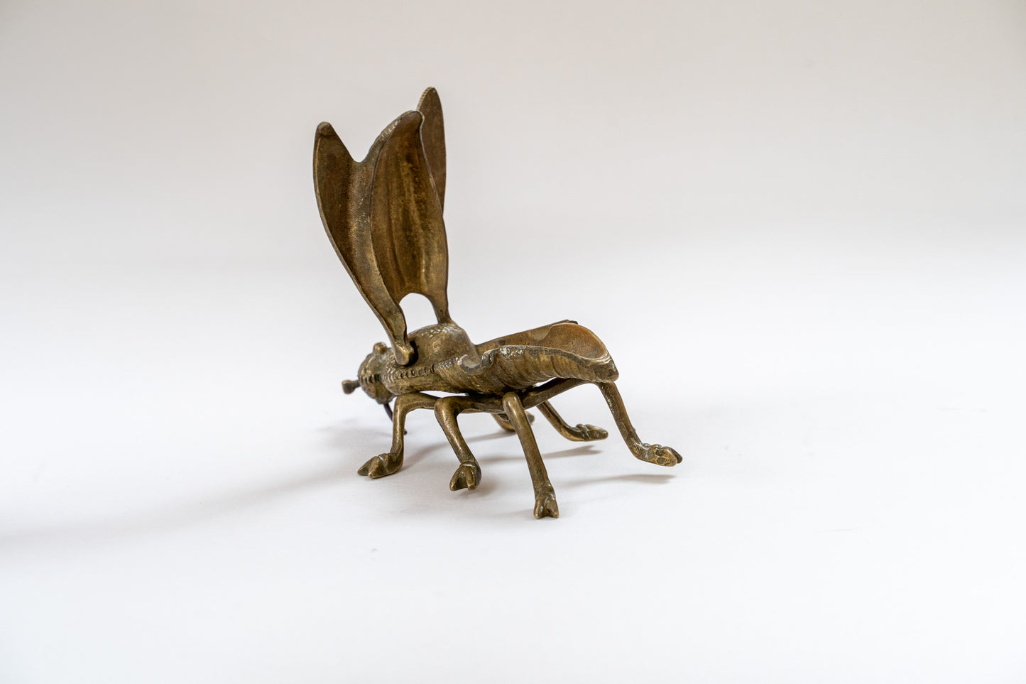 Insect container