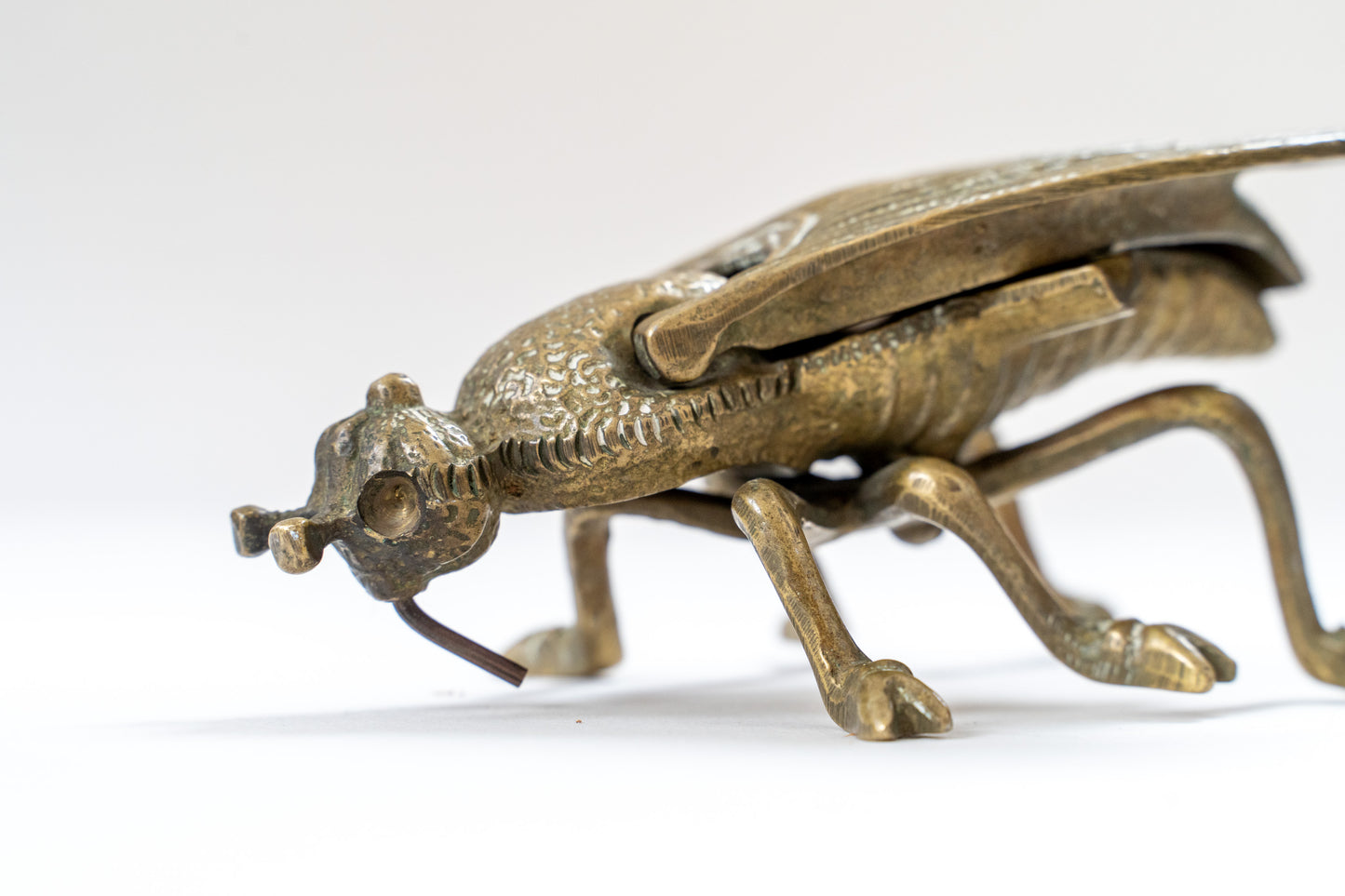 Insect container